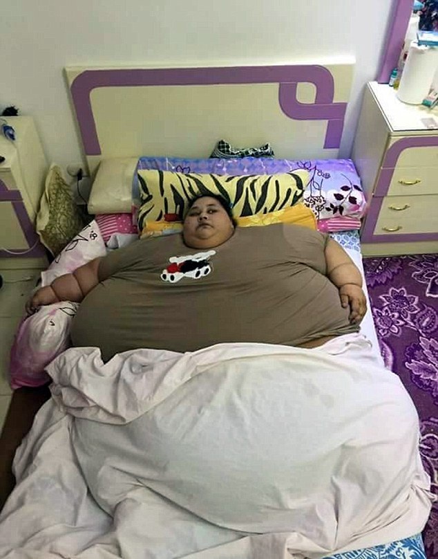 宜宾新闻头条：三江两岸焕发新活力